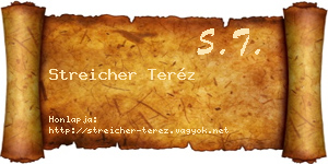 Streicher Teréz névjegykártya